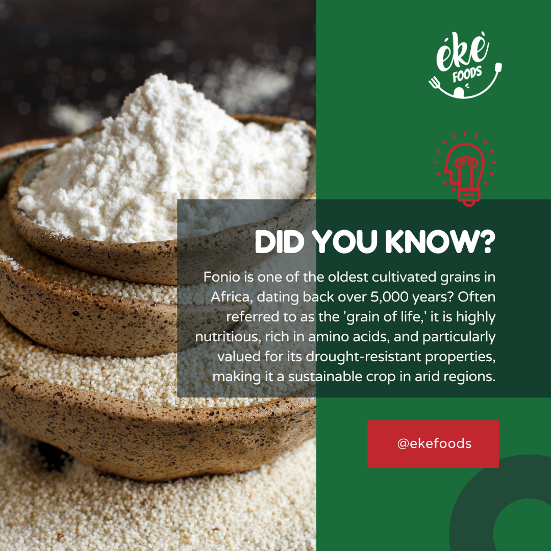 Discover the Superfood: Fonio – Ancient Grain with Modern Benefits